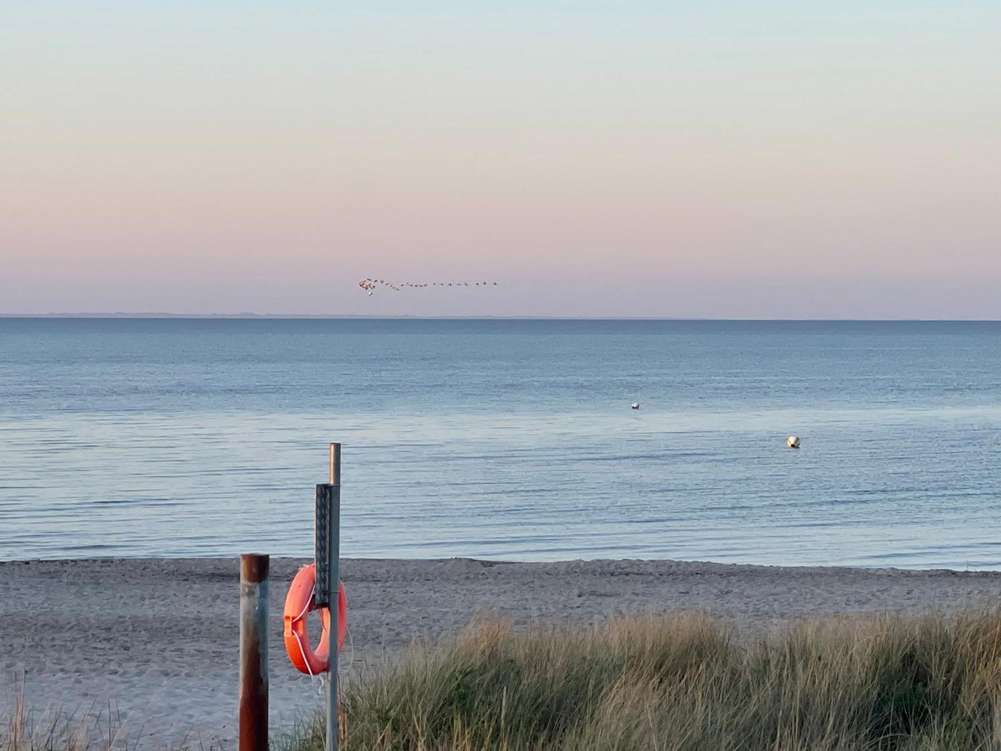 Strandzone 29 Kronsgaard Exteriör bild